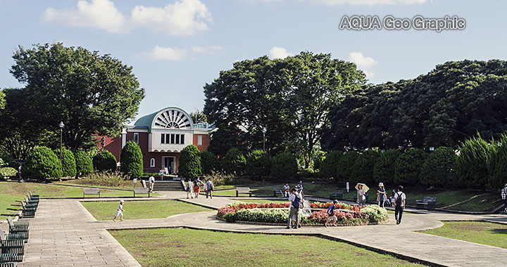 横浜港 横浜観光　港の見える丘公園