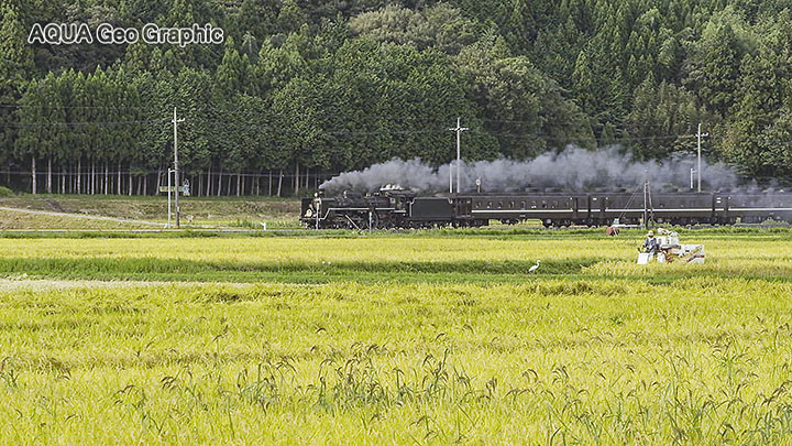 SL 蒸気機関車 SLやまぐち