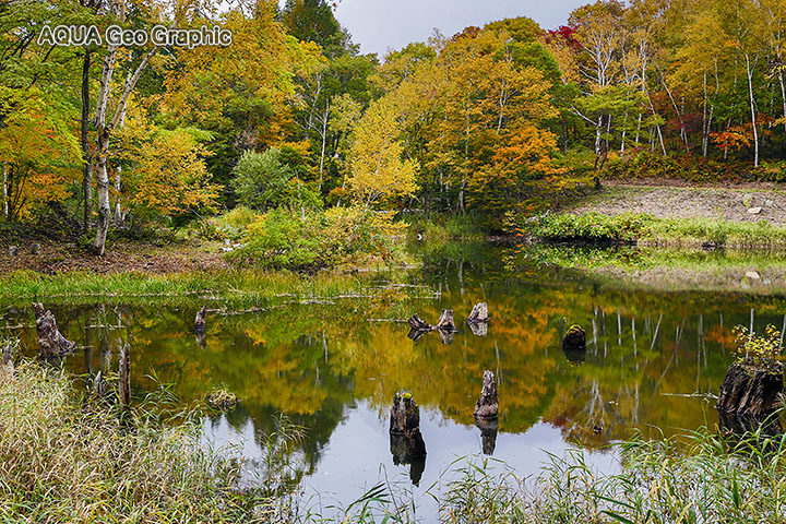 秘境 秋山郷の紅葉 苗場山麓ジオパーク