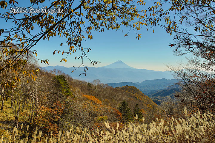 クリスタルライン　紅葉　富士山 乙女高原