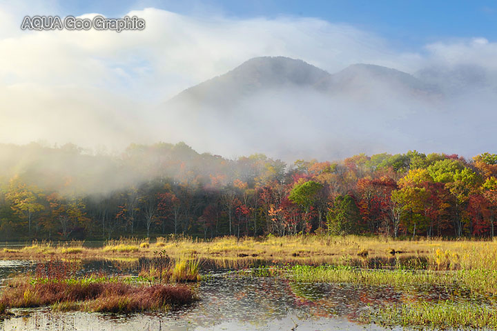 観音沼森林公園　紅葉