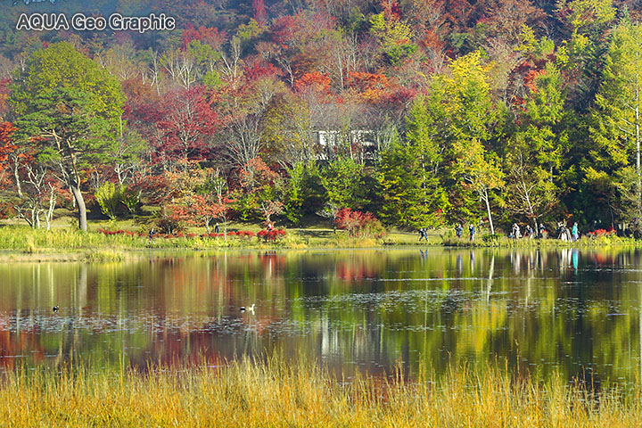 観音沼森林公園　紅葉