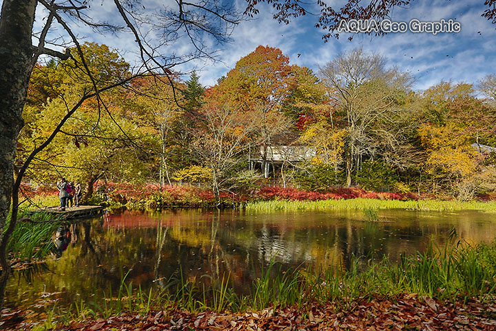 「軽井沢・雲場池」の紅葉
