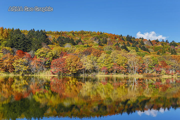 戸隠 小鳥ヶ池　紅葉　黄葉　水鏡
