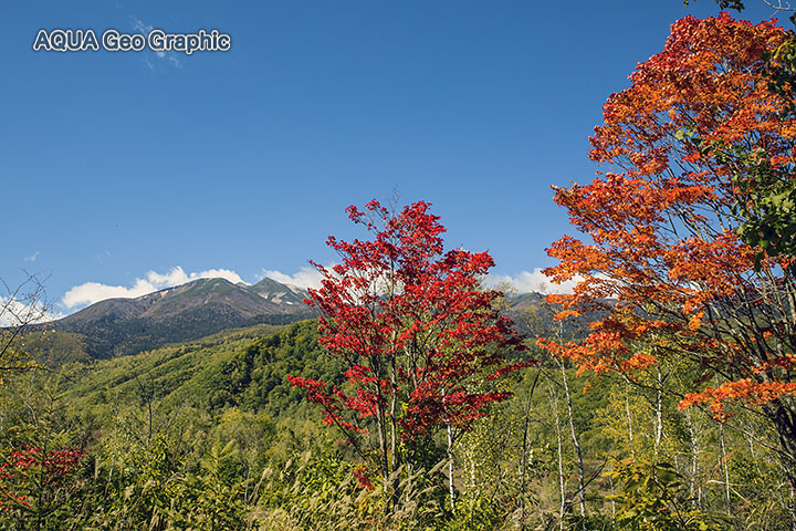 乗鞍高原　一ノ瀬園地　紅葉