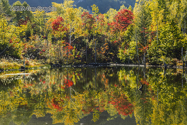 乗鞍高原　一ノ瀬園地　紅葉