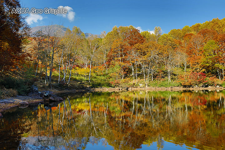 笹ヶ峰高原の紅葉 水中カメラマンのデスクワークな日々