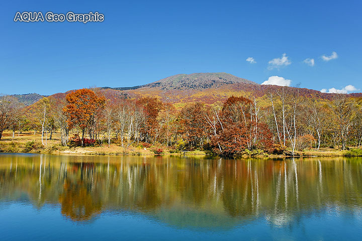 笹ヶ峰高原の紅葉