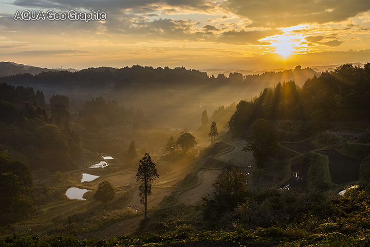 十日町市　松代の棚田
