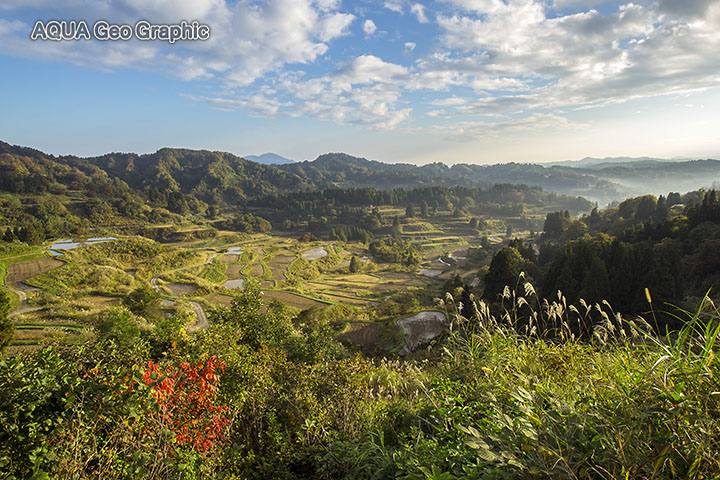 十日町市　松代の棚田