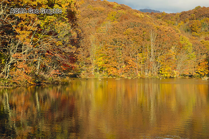 裏磐梯の紅葉