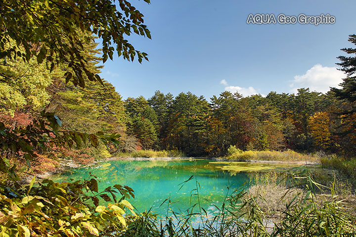 裏磐梯の紅葉　五色沼　青沼