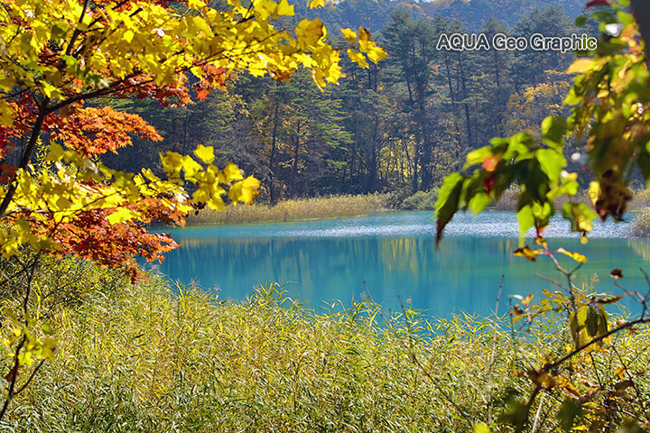 裏磐梯の紅葉　五色沼　瑠璃沼