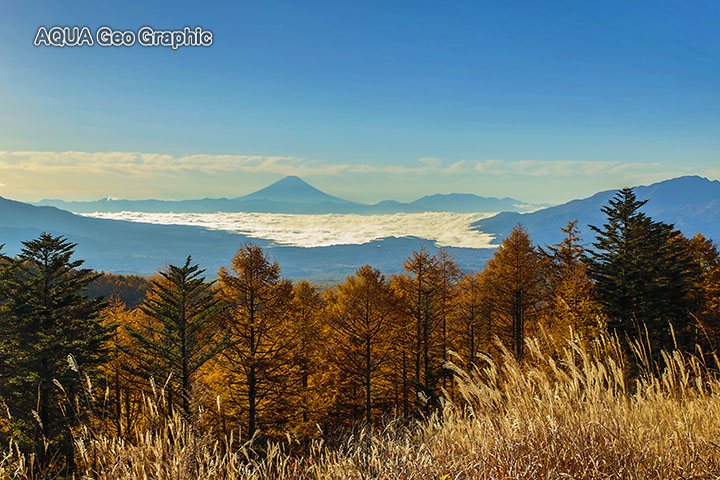 八ヶ岳　観音平　富士山　