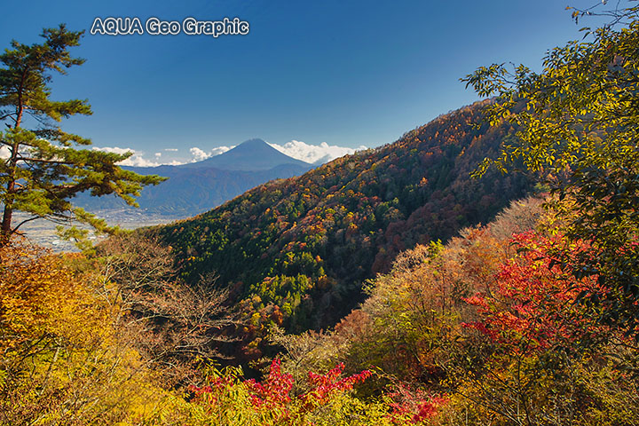 櫛形山林道　富士山　紅葉