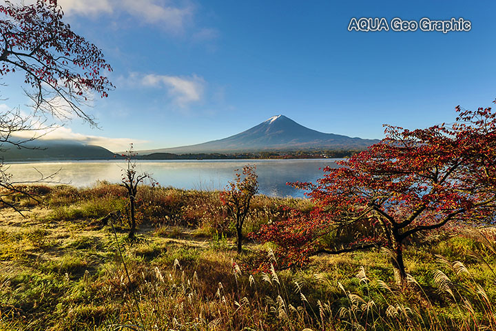 富士山と紅葉 河口湖
