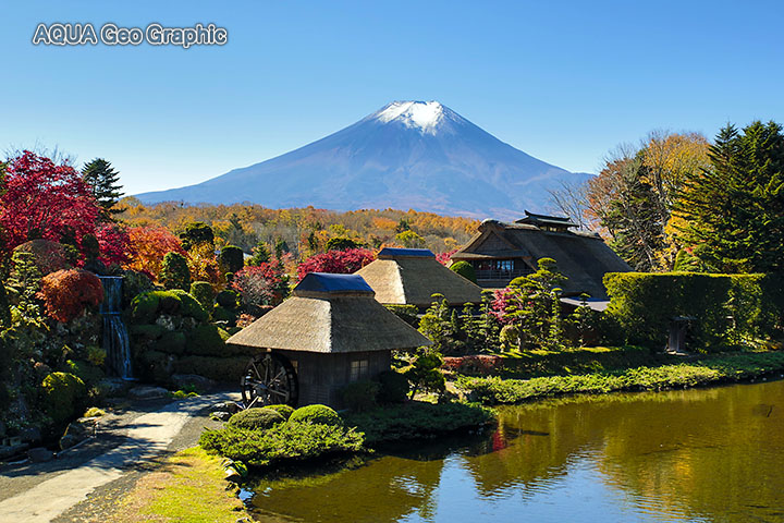 富士山と紅葉 忍野