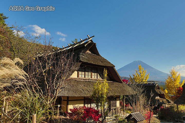 富士山と紅葉 西湖いやしの里根場