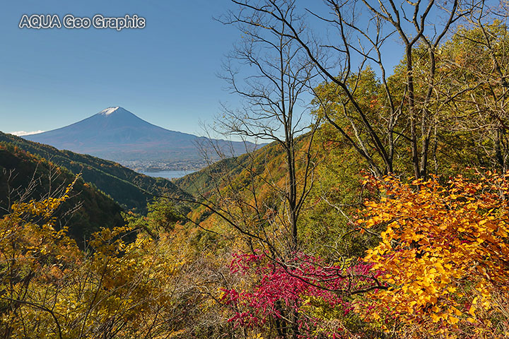富士山と紅葉 河口湖　御坂道