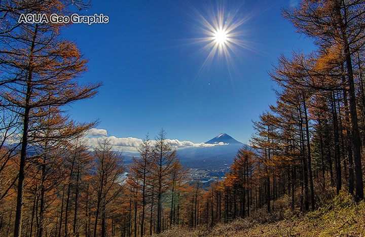 富士山と紅葉 河口湖　新道峠