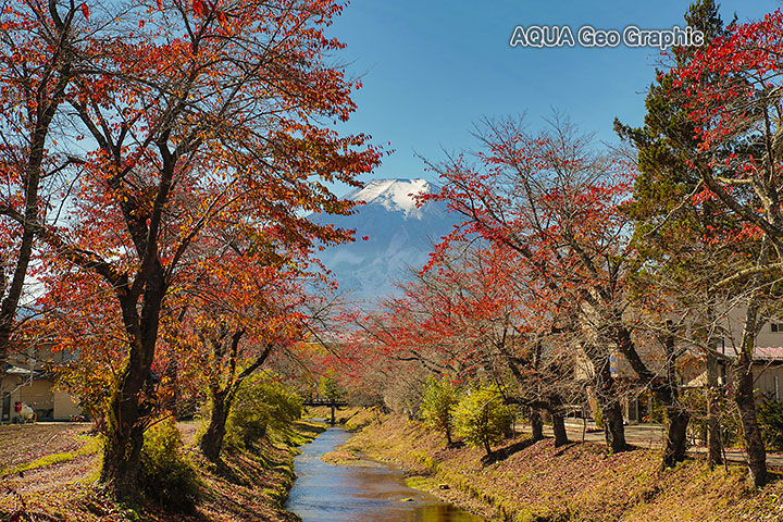 紅葉 富士山　パノラマ台