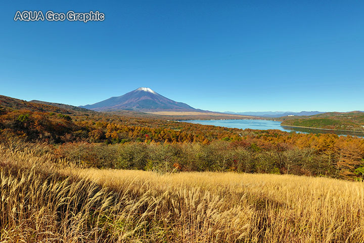 紅葉 富士山　パノラマ台