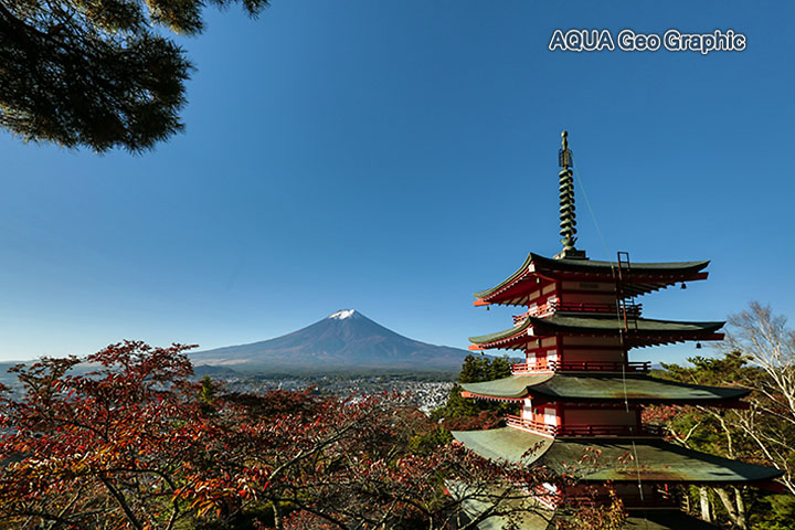 紅葉 富士山　新倉山浅間公園 忠霊塔 五重塔