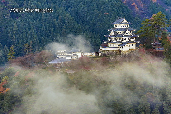 天空の城 越前大野城 を断念し再び 郡上八幡城 へ 水中カメラマンのデスクワークな日々