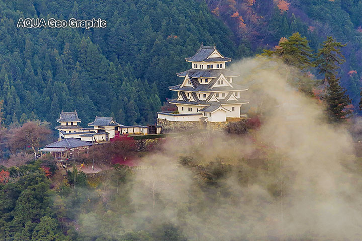 天空の城 越前大野城 を断念し再び 郡上八幡城 へ 水中カメラマンのデスクワークな日々