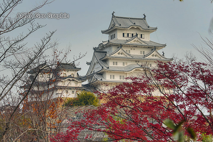 姫路城 紅葉 黄葉