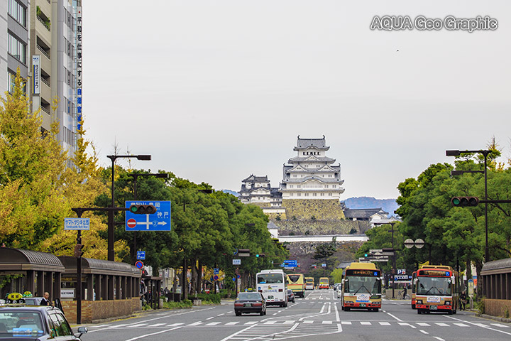 姫路城 紅葉 黄葉