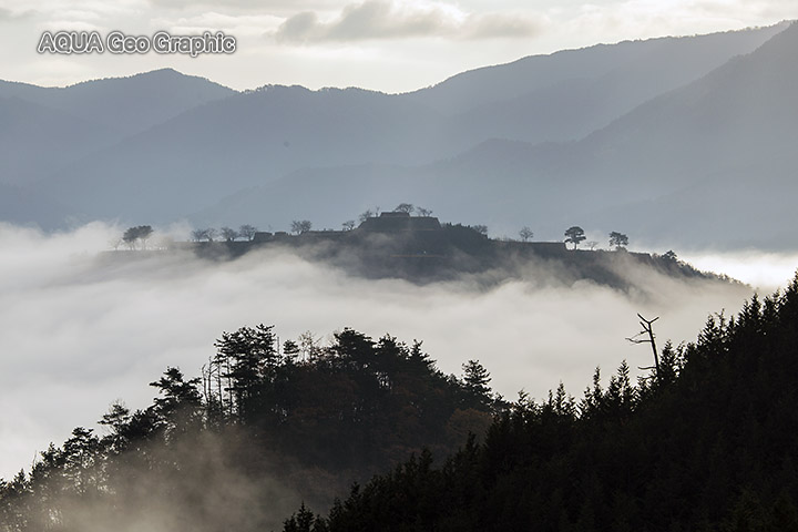 天空の城 竹田城跡 雲海