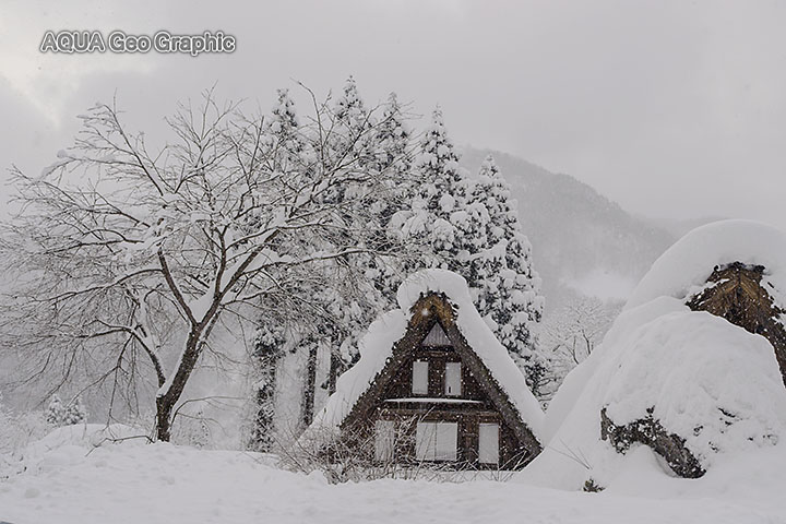 雪景色　五箇山 相倉合掌造り集落　世界遺産
