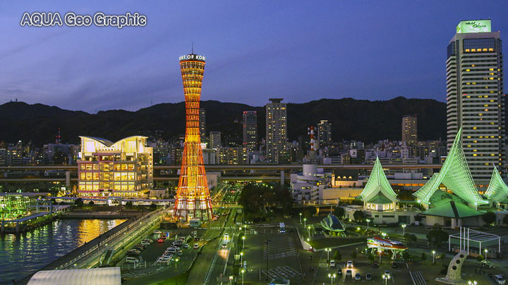 神戸の夜景