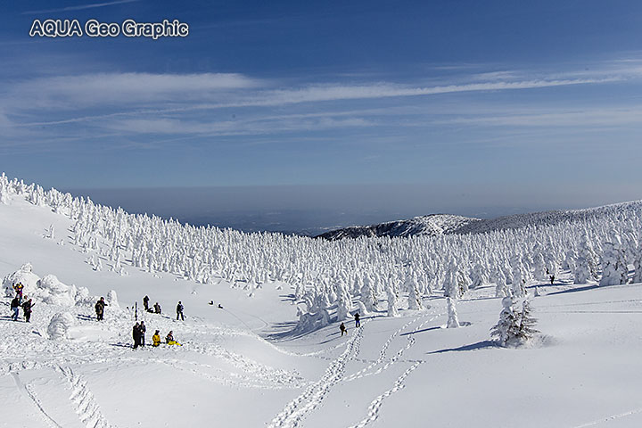 蔵王　地蔵山　雪景色　樹氷　アイスモンスター
