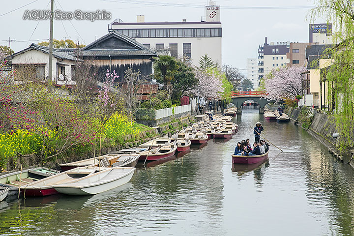 九州 桜ロケ ４日目 柳川 水中カメラマンのデスクワークな日々