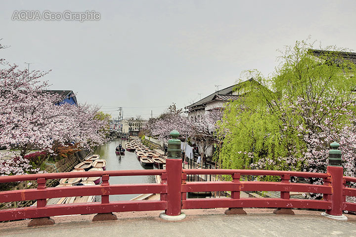 柳川市 柳川 川下り お堀めぐり