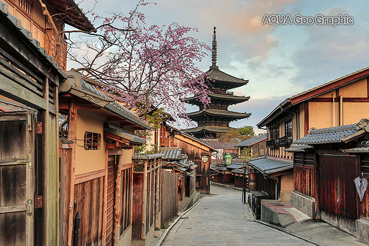 京都 kyoto 八坂の塔 yasaka 五重塔 桜