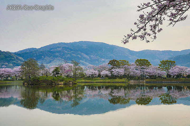 茨城県 つくば市 北条大池 つくば野池群