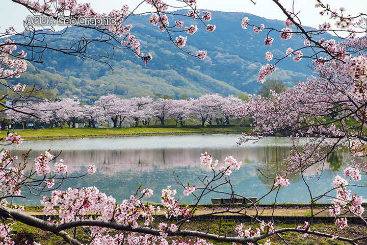 茨城県 つくば市 北条大池 つくば野池群