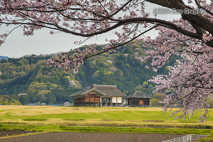 茨城県 つくば市 平沢官衛遺跡