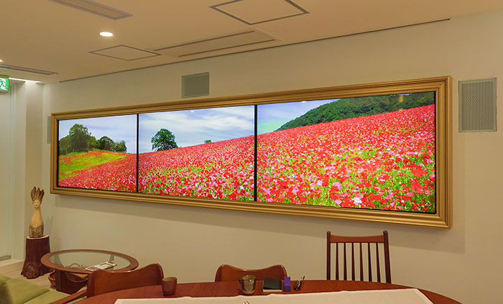 テラリウム表参道 12Kパノラマムービー 12Kパノラマシアター