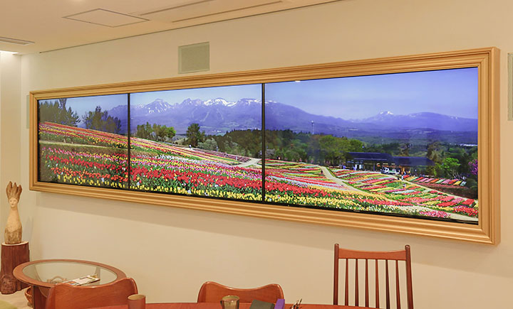 テラリウム表参道 12Kパノラマムービー 12Kパノラマシアター