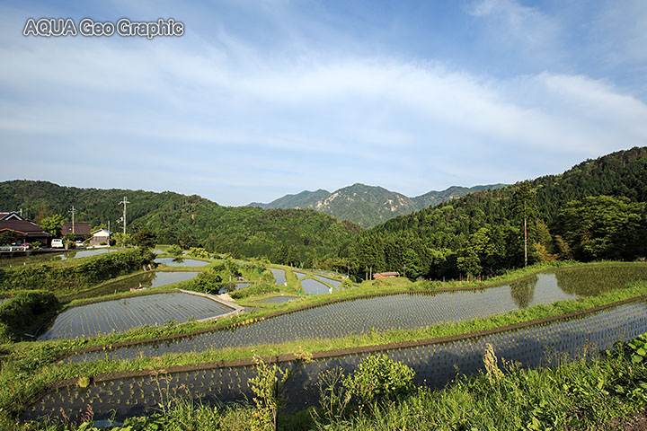 滋賀県 高島市 畑の棚田