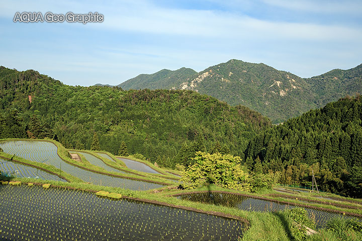 滋賀県 高島市 畑の棚田