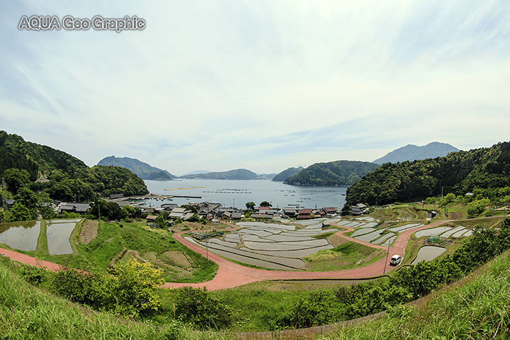 日引の棚田 水中カメラマンのデスクワークな日々