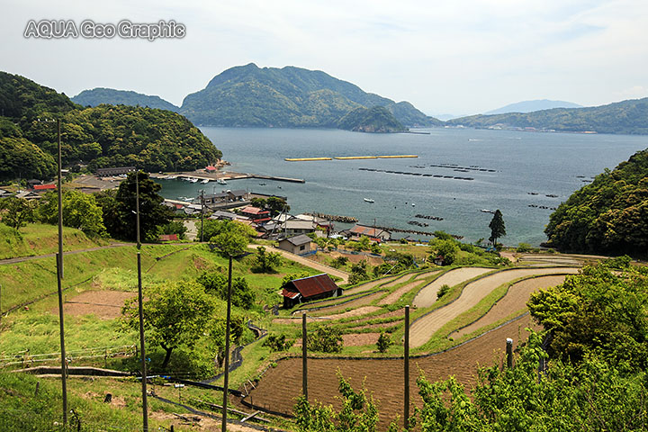 日引の棚田　福井県高浜町 