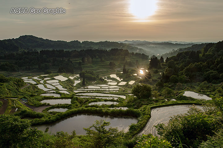 十日町市　松代の棚田　星峠の棚田　朝日　日の出