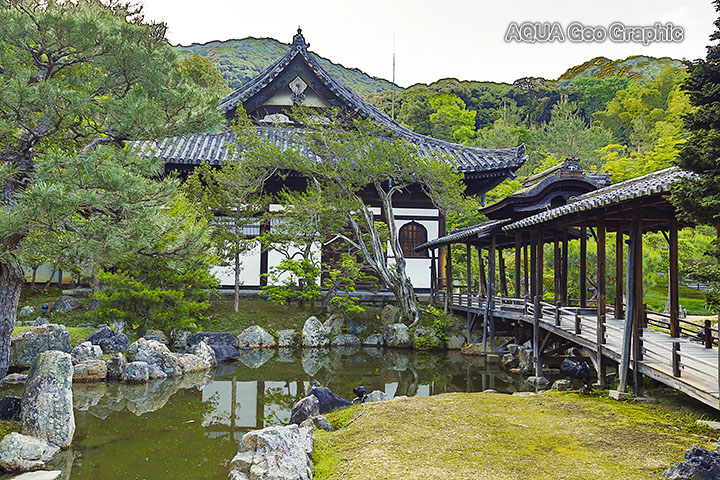 新緑　京都　高台寺