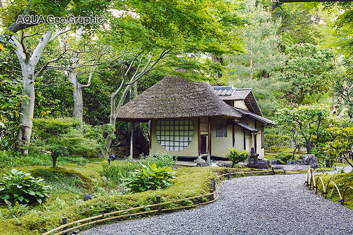 新緑　京都　高台寺